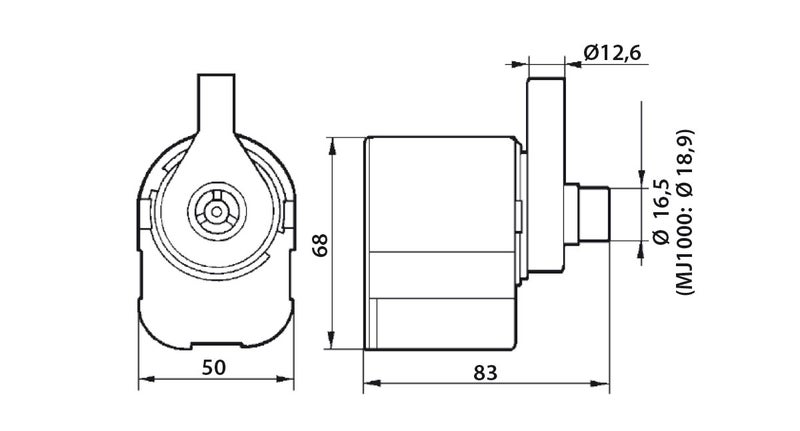 Newa Maxi MJ-1000 vesipumppu